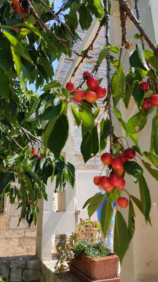 Trulli Di Zia Tata ξενώνας Locorotondo Εξωτερικό φωτογραφία